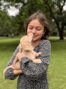 Creme of the Crop Miniature Dachshund Puppy Testimonial Claris